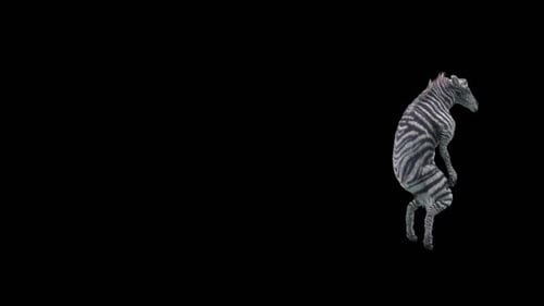 Realistic 3D Animated Zebra Dancing and Jumping