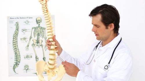 Medical Doctor Explains Spinal Anatomy Using Model