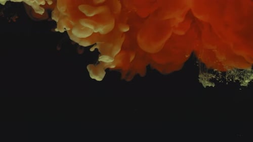 Abstract Ink Clouds Dissolving in Water on Black