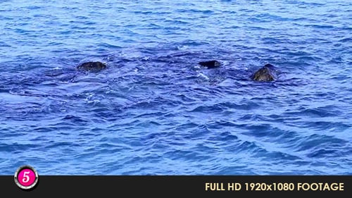 Water Waves 10