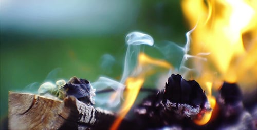 Summer Bonfire