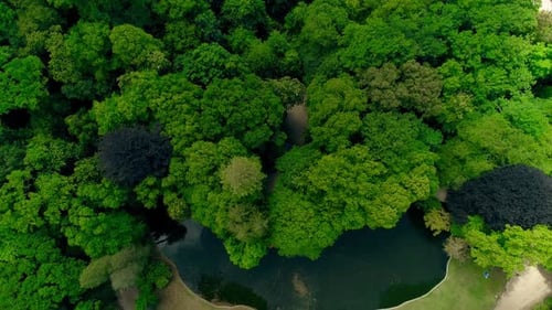 Flying Over Calm Summer Lake