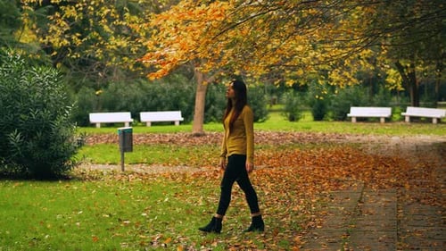 autumn at the park - beautiful woman walks alone in the park