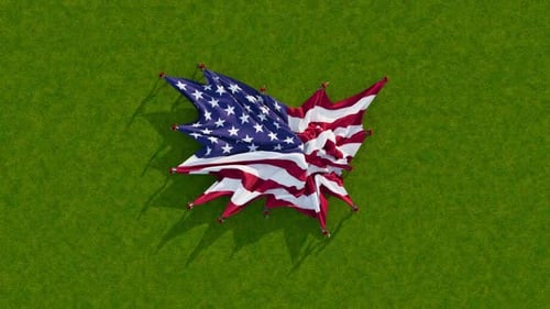 USA Flag Unfurling on Green Grass Animation