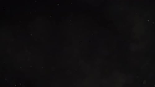 Floating Miniature Flecks of Dust Are Soaring on Black Background.