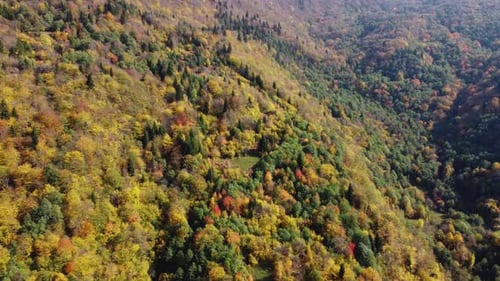 Herbst im Bergwald. Herbstfarben im Luftbild des Waldes.