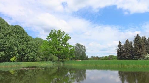 Park & Pond 4K