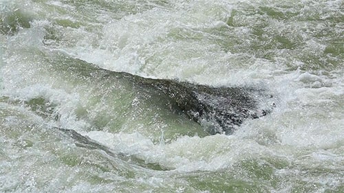 Water Stream
