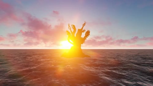 Les arbres poussent au milieu de la mer pendant l'après-midi