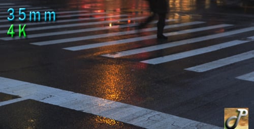 Wet York Street Night