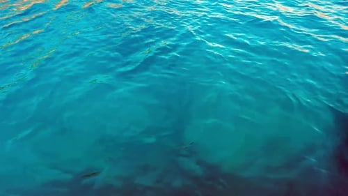 Blue Sea