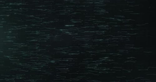 Dark Line Particles Background