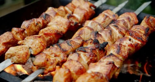 Delicious Meat Roasting over an Open Flame