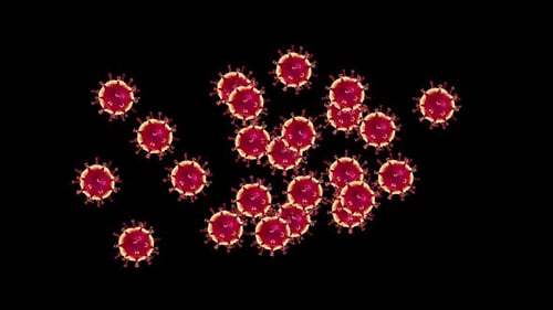 Microscopic Red Virus Particles Floating Scientific Background Loop