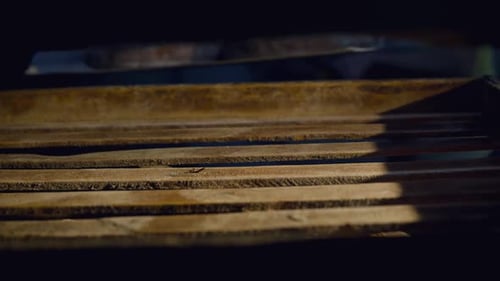 Close View of Unloading Freshly Baked Bread From the Oven on Shelves in Factory