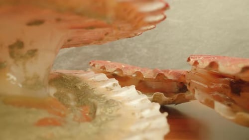 Sea Shellfish with Opened Scarlet Muscles on Wooden Table