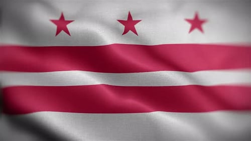 Realistic Washington D.C. Flag Waving Seamless Loop Animation