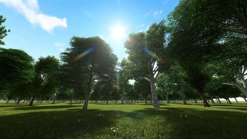 Walking In The Forest