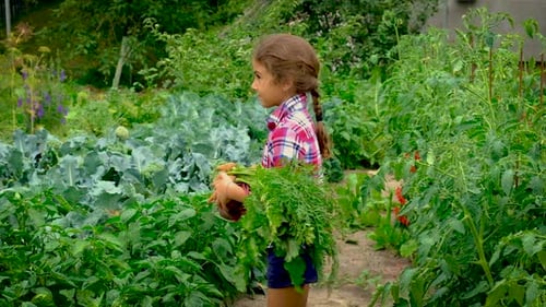 Young Girl with Harvested Vegetables in Garden