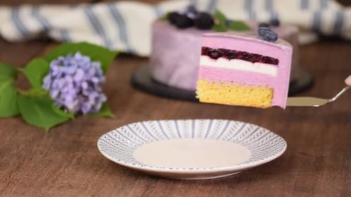Colorful Layered Cake Slice Served on Plate