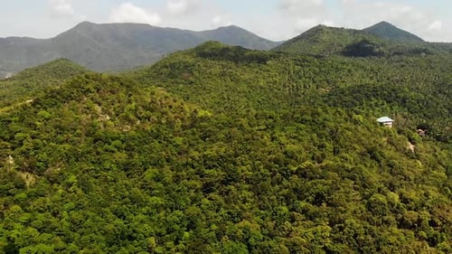 Tropical Forest on Island. Fantastic Drone View of Green Jungle on Mountain Ridge of Amazing