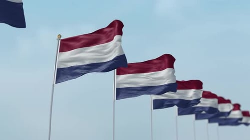 Netherlands Row Of Flags