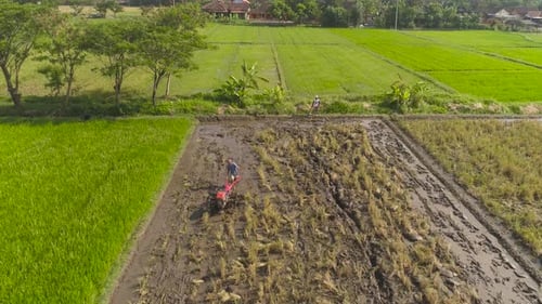Landwirt im Reisfeld Indonesien