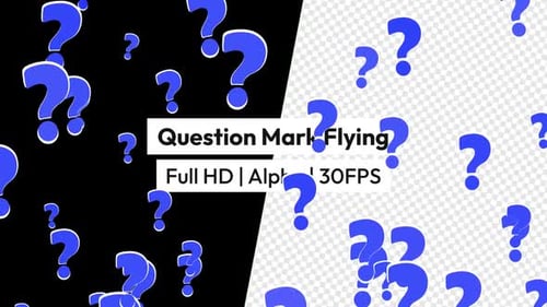 Fragezeichen Fliegen mit Alpha v2