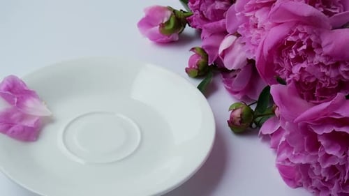 Creative Layout with Pink Peonies Flowers