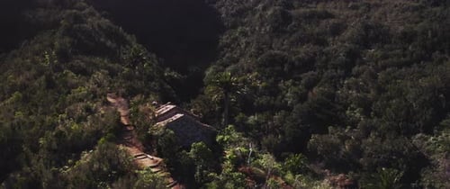 Drone shot of forested area