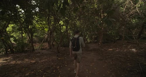 Young Adult Hiking Through Tropical Forest