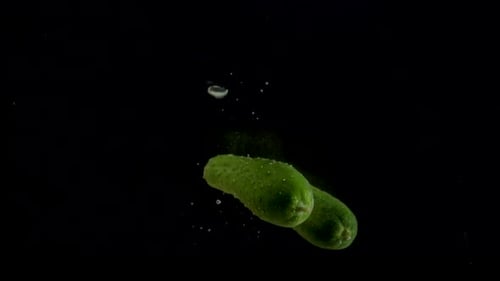Cucumbers Falling Into Water on Black Background