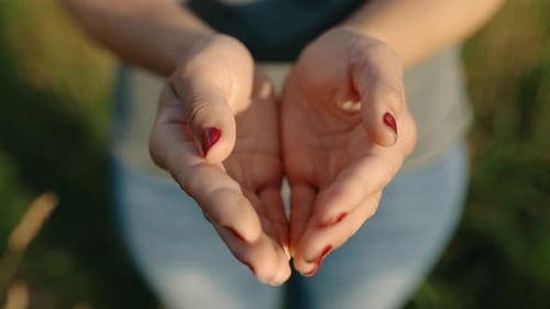 Top View of Folded Female Hands That Open