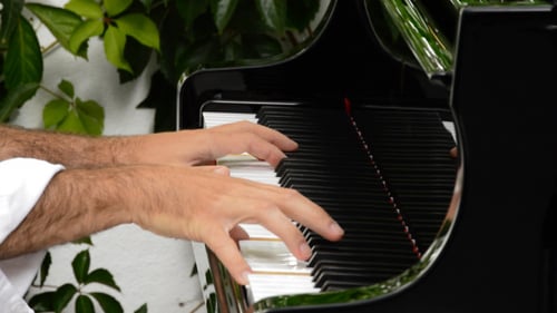 Hands Playing Piano