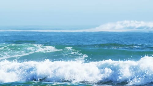 Surfers surfing in sea