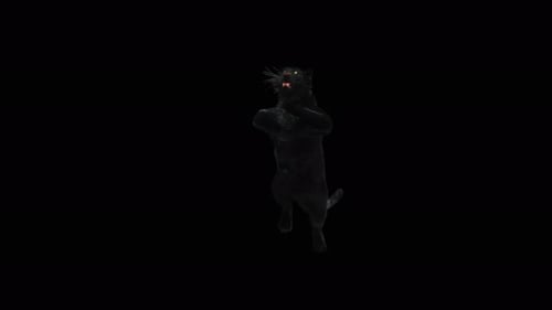 Dynamic Black Panther Rearing Animation with Alpha Channel