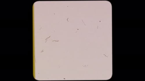 Cassette à ruban vacillante avec Dirt