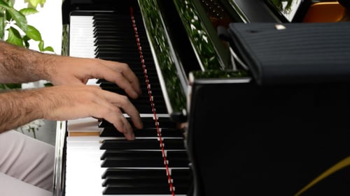 Expert Pianist Plays Beautiful Black Grand Piano