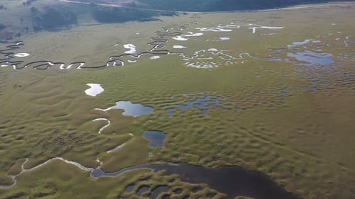 Winding River Flowing through Green Meadow