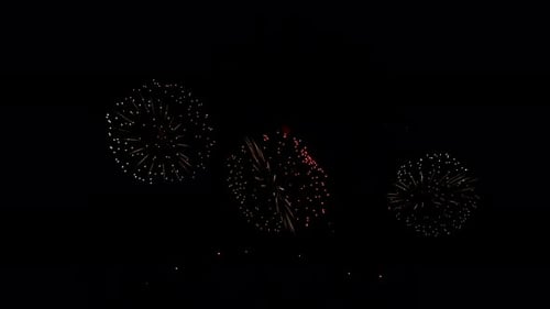 Colorful Fireworks Exploding in the Dark Night Sky