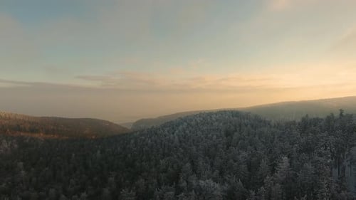Drone video of winter forest at sunset