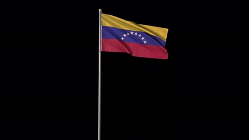 Waving Venezuela Flag on Pole