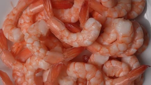 Pile of Fresh, Cooked Shrimp Close-Up