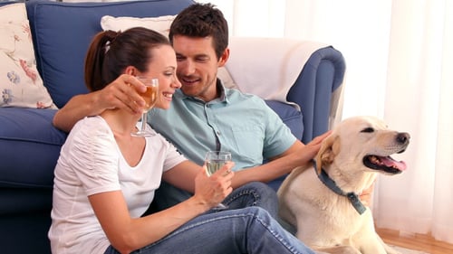 Couple Enjoys Wine With Golden Retriever Indoors