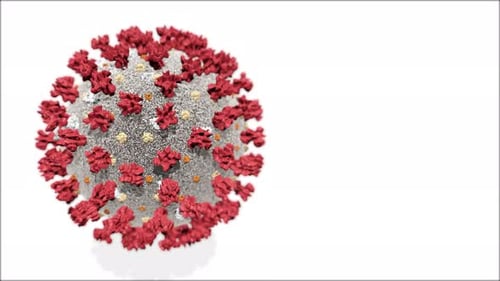 3D Rotating Virus Particle Model