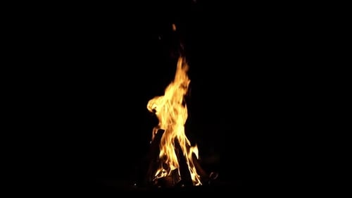 Fire Flames on a Black Background