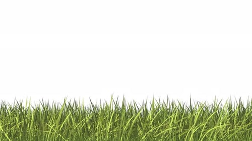 Growing Grass