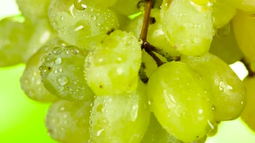 Fresh Green Grapes with Water Droplets