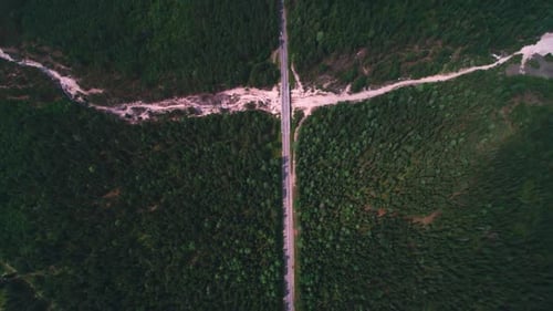 AERIAL Dark Colored Car Driving Down an Asphalt Road Crossing the Vast Forest on a Sunny Summer Day