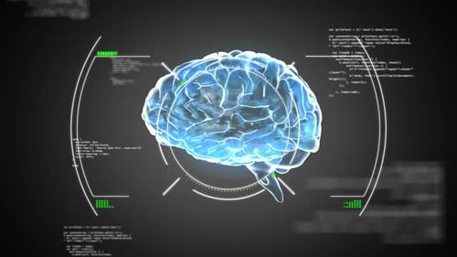 Futuristic Digital Brain Scan with HUD Interface
